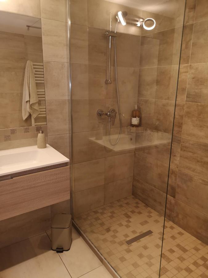 Tres Bel Appartement Avec Vue Sur Les Montagnes Saint Ismier Zewnętrze zdjęcie