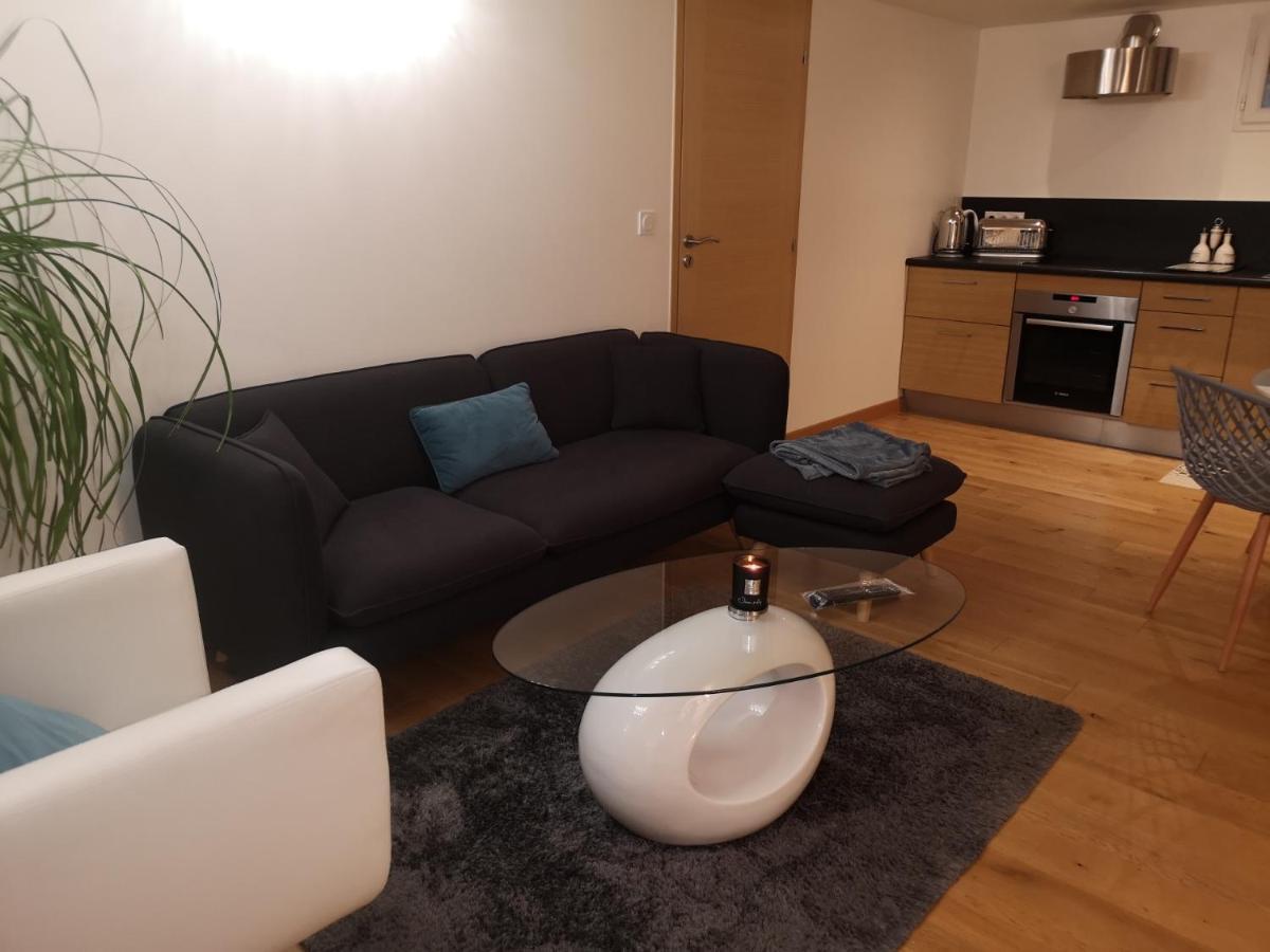 Tres Bel Appartement Avec Vue Sur Les Montagnes Saint Ismier Zewnętrze zdjęcie